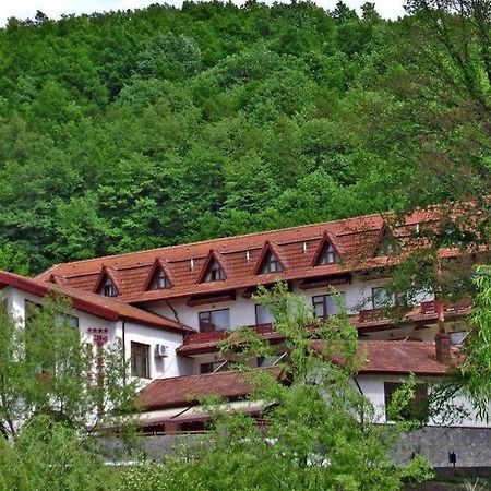 Hotel Mcpietroasa Hales Buitenkant foto