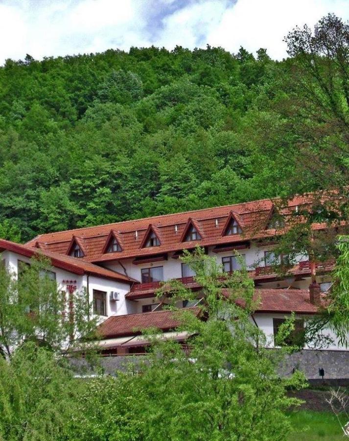Hotel Mcpietroasa Hales Buitenkant foto