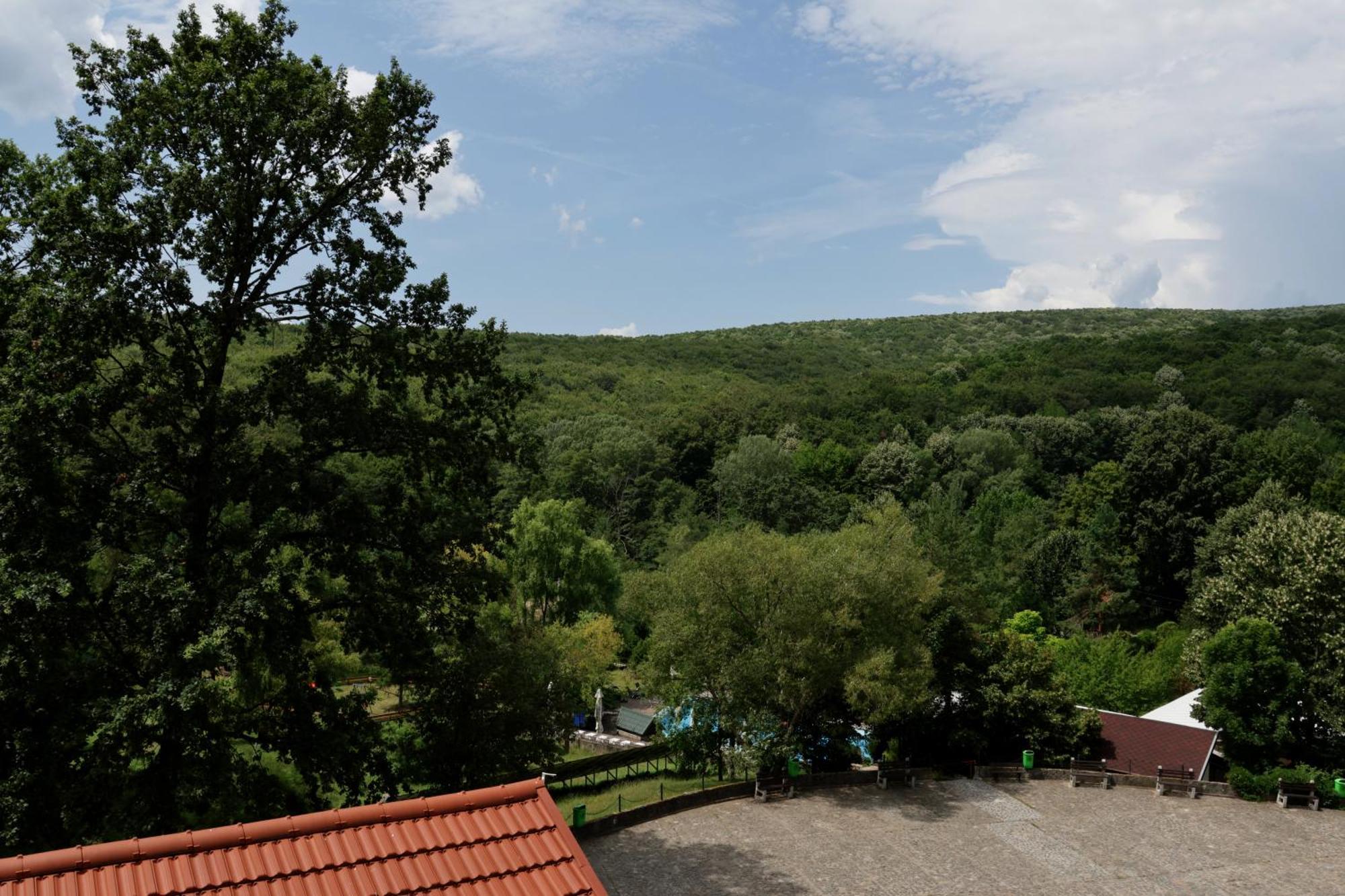 Hotel Mcpietroasa Hales Buitenkant foto