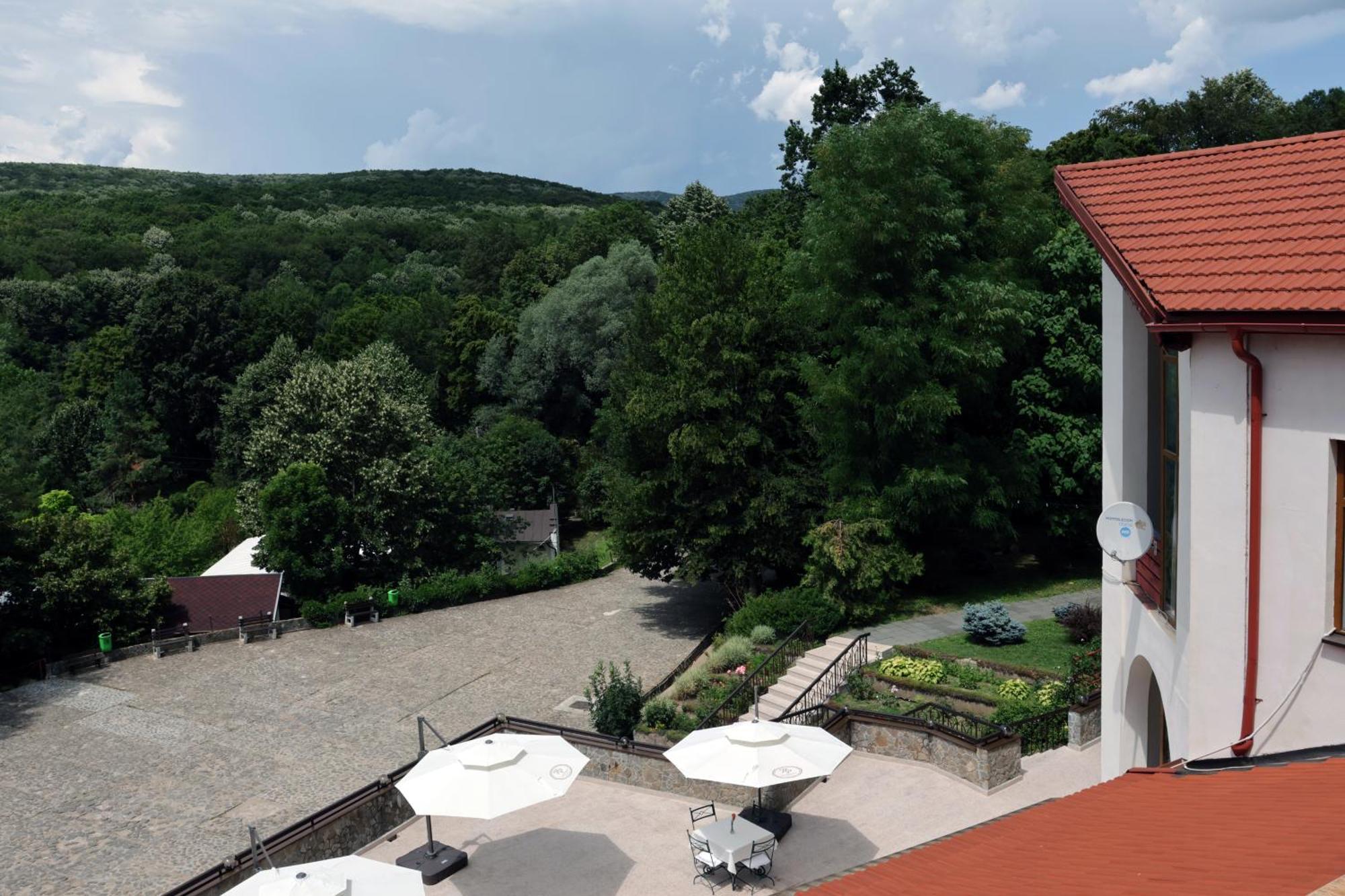 Hotel Mcpietroasa Hales Buitenkant foto